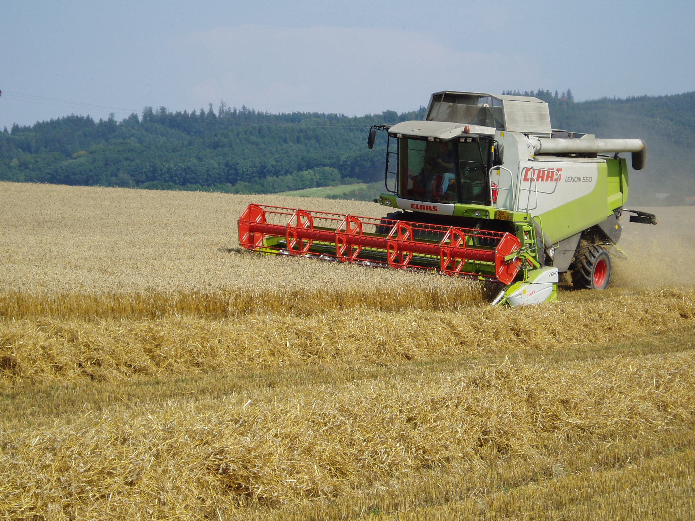 Hospodaří na jedničku