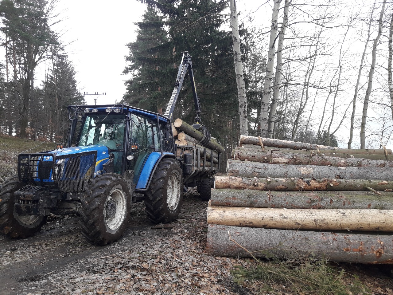 Co je to biomasa a k čemu nám může být prospěšná?