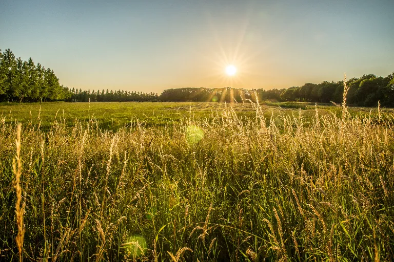 kdy se vyplácí zemědělské dotace
